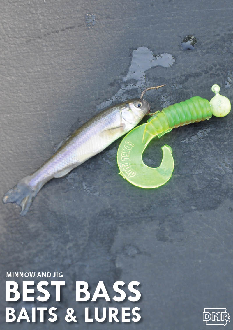 Minnows and jigs are a great way to catch bass in the summer | Iowa DNR
